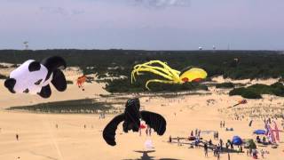 32nd Annual Rogallo Kite Festival  Nags Head NC [upl. by Eerual]