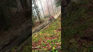 Zrywka drewna w lesie Bieszczady logging Dt 75 [upl. by Leighland]