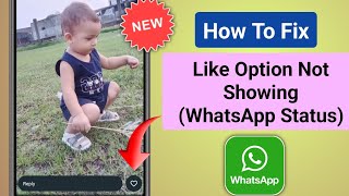 How To Fix WhatsApp Status Like Option Not Showing Problem  Fix Like Status on Whatsapp 2025 [upl. by Aramal]