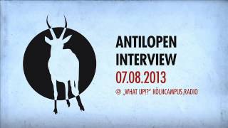 Antilopen Gang  quotWhat UpquotRadioshow Part 1  Interview [upl. by Ahtnamas367]