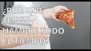 Por qué tengo hambre todo el tiempo [upl. by Kristin]