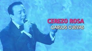 Carlos Cuevas  Cerezo rosa Karaoke [upl. by Rubia]