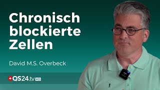 Reflexionsgesetz Entfaltung der DNA durch Reflexion  Forscher David MS Overbeck  QS24 [upl. by Anividul]