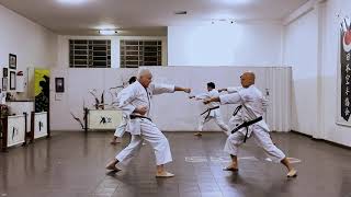 Mushinkan  Sensei Carlos Rocha  Treino Regular 19h [upl. by Brion365]