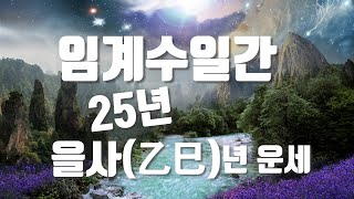 25년 을사乙巳년 임계수壬癸水일간 운세임수일간계수일간 [upl. by Kcirdehs]