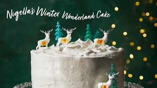 Nigellas Winter Wonderland Cake  Ocado [upl. by Haeel]