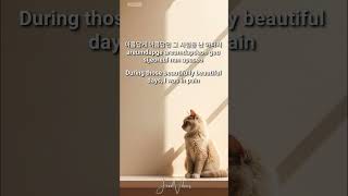 To My Youth 나의 사춘기에게  Bolbbalgan4 BOL4  Lyrics  lyrics viralvideo [upl. by Esoranna]