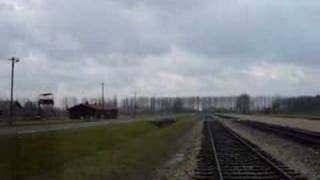 Irving in Birkenau  the watch towers [upl. by Zetnod871]