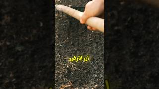 اشترى ارض وطلع فيها كنز واكتشاف كبير [upl. by Trubow]