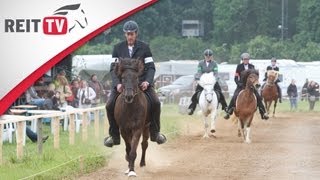 Gangpferdeprüfung  die Isländer zeigen ihr Können auf der EQUITANA Open Air 2012 [upl. by Abebi]