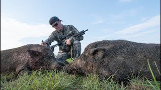 Hunting HUGE Feral Hogs on Farm Land [upl. by Traver806]