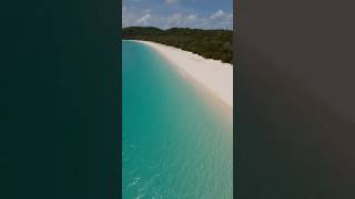 Whitehaven Beach whitehaven trendingshorts viralshorts fypyoutube [upl. by El]