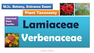 Lamiaceae amp Verbenaceae  MSc Botany Entrance  Angiosperm Families  Important Notes [upl. by Heeley]