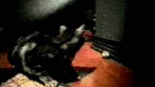 Nissan 300ZX Barbie amp GI Joe Commercial [upl. by Ameluz430]