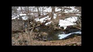 Mt Marshall Trail  Shenandoah National Park [upl. by Bethesde783]