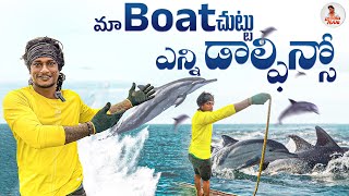 మా Boat చుట్టు ఎన్ని డాల్ఫిన్సో 🐬 Local Boi Nani [upl. by Nodnart]