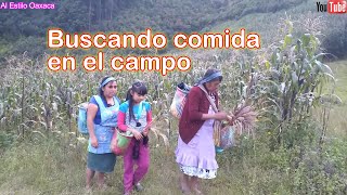 ✅Así buscamos quelites en el campo para nuestra comida 😋😀🥰 [upl. by Gotthard]