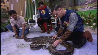 Hebat Andhika Berani Mengukur Ular  OPERA VAN JAVA 140818 45 [upl. by Trudi344]