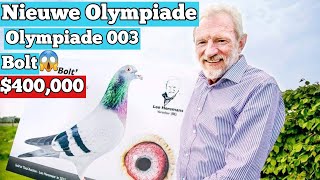 Leo Hermans Racing Pigeons Olympiade 003 Bolt Nieuw Olympiade  Top 3 Birds from His Loft [upl. by Atsyrk]