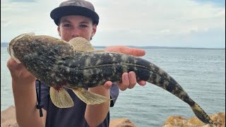 Port Stephens Fishing report 171123 [upl. by Pernas]