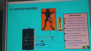 SVTles phenomenes mecaniques de la contraction musculaire [upl. by Onaicul]