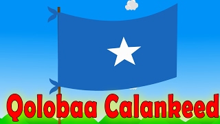 Qolobaa Calankeedu waa caynoo  Somalias anthem for children  Heesaha Caruurta [upl. by Seadon]