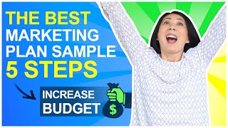 Marketing Plan Sample  5 Steps to Grow a Small Business Budget [upl. by Mcmahon]