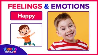 Emotions and Feelings Visual Cards for Learning [upl. by Tteirrah168]