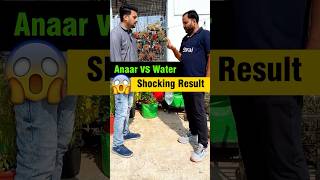 Shocking Temperature of Diwali Anaar 💀😱 Water beats Anaar 🔥shorts science experiment esaral [upl. by Amsirhc]