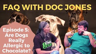 Why you cant give Dogs Chocolate  FAQ With Doc Jones PART 5 [upl. by Lumbard]