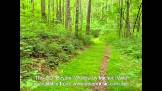 Relaxation Meditation  Forest Imagery [upl. by Gardener]