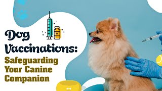 VACCINATION SCHEDULE for DOGS  Keeping Your Pet Protected  Puppy to Adult [upl. by Ahsieyt]