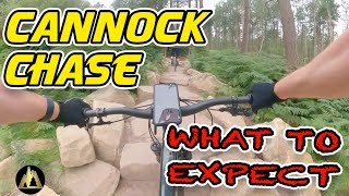 Cannock Chase MTB Trails  What To Expect [upl. by Riddle]