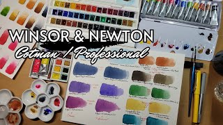 Winsor amp Newton Comparison and Review  Cotman vs Professional [upl. by Aidahs]