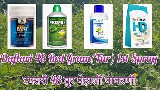 दफ्तरी 48 Red Gram TUR 1st Spray दफ्तारी 48 तूर पेहालि पवरणी [upl. by Ardy753]