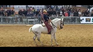 Fieracavalli Verona 2024 padiglione spagnolo [upl. by Disharoon897]