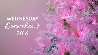 A Very Voolenvine Vlogmas Day 7  quotSecret Stashesquot [upl. by Lorilee]