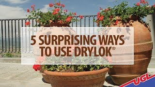 5 Surprising Ways to use DRYLOK® [upl. by Dreddy]