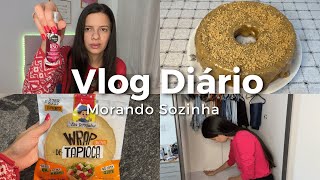 VLOG DIÁRIO MORANDO SOZINHA 💖 [upl. by Madeleine]