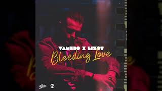 VAMERO x LIZOT  Bleeding Love Lyrics가사해석 [upl. by Trude]