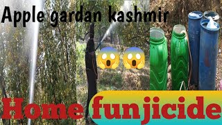 Fungicide had been done today‎Sidraajan subscribe me plz 🙏 home garden fungicide [upl. by Matthews]