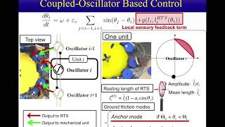 A Soft Deformable Amoeboid Robot Inspired by Plasmodium of True Slime Mold Slimy [upl. by Ardnua]