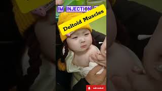 Intramuscular injection  IM inj Deltoid muscular IM injection kese lagate himinjection facts [upl. by Bobinette486]