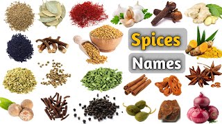 Spices Vocabulary ll Some Spices name In English With Pictures [upl. by Yrekaz]