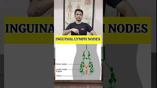 Best Exercise for Swollen Lymph Node in Groin Region Relief shorts tranding [upl. by Vokaay668]