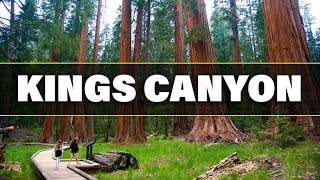 Top 10 Things To Do In Kings Canyon National Park [upl. by Christye244]