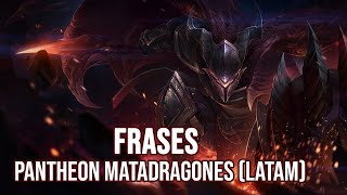 Pantheon Matadragones  Frases LATAM [upl. by Sinnaiy]