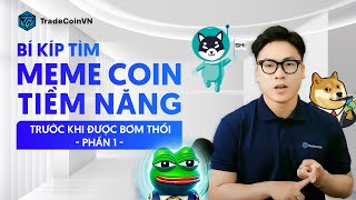 Bí kíp tìm MEME COIN tiềm năng TCVN  Kỹ năng Crypto [upl. by Nyladnewg]