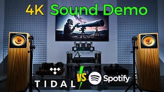 Tidal Vs Spotify  The Best Sound Quality For Audiophiles [upl. by Hartmunn202]