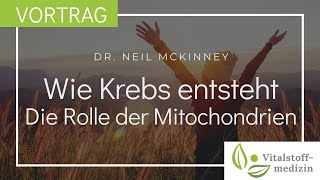 Wie Krebs entsteht  die Rolle der Mitochondrien [upl. by Armanda574]